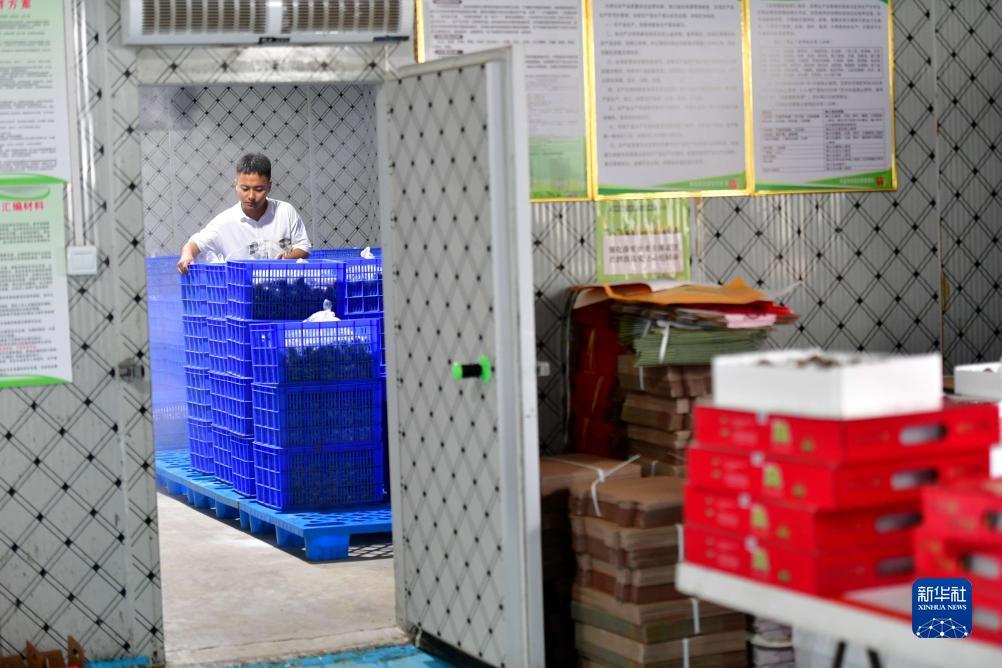 手机打鱼送彩金可现金